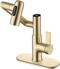 Lefton Rotatable Bathroom Faucet BF2204 with 6' Cover Plate FCP2202, Brushed Gold