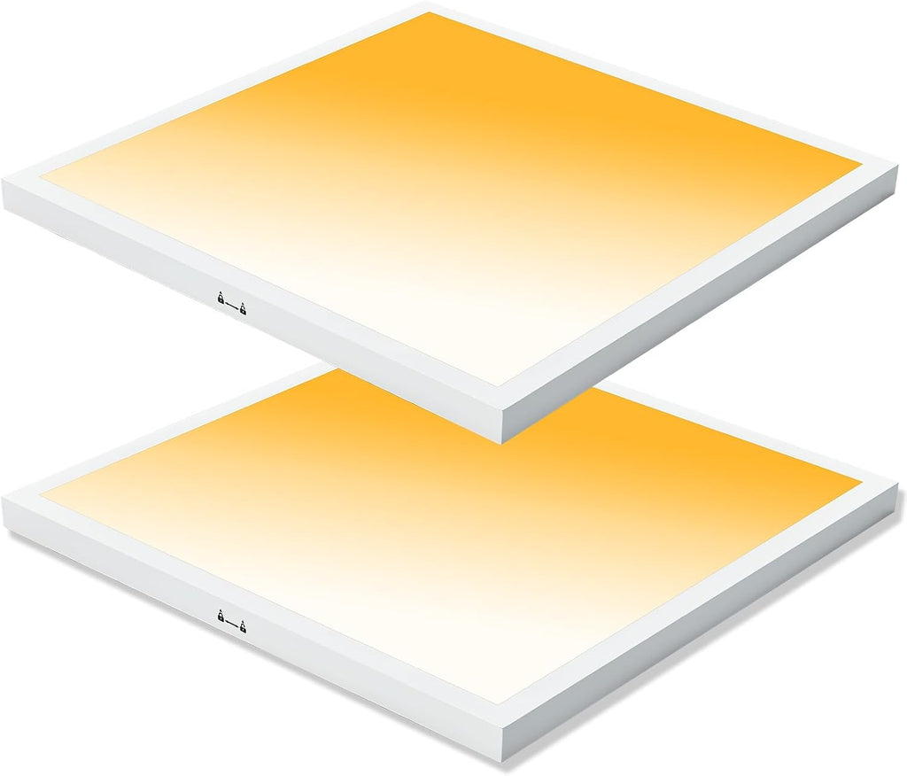2x2 LED Flat Panel Light Surface Mount, 40W-30W-20W & 3000K-4000K-5000K Selectable, 0-10V Dimmable, 24 Inch Square Flush Mount Ceiling Fixture for Kitchen, Shop, 100-277V, ETL, 2 Pack,White