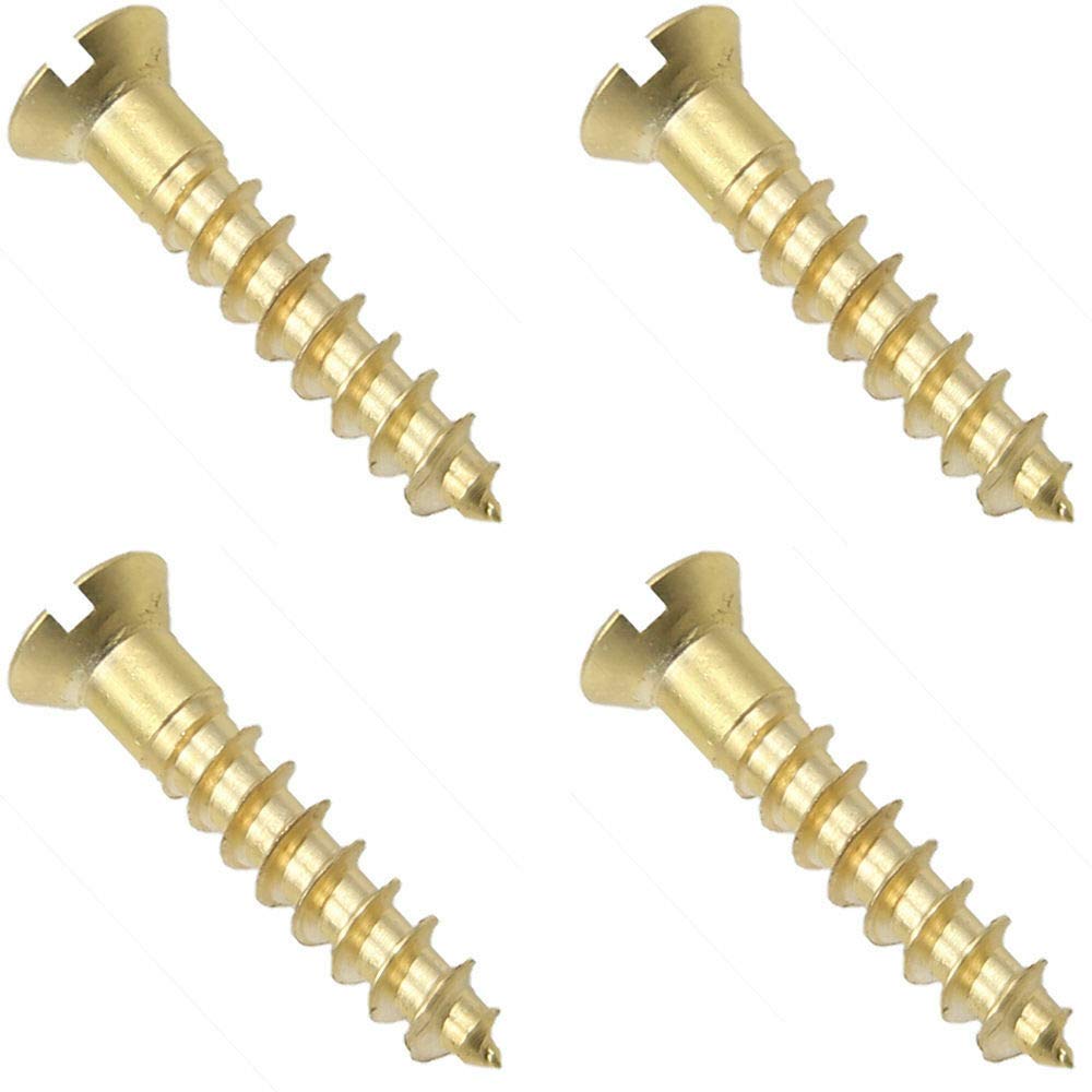 Slotted Flat Head Wood Screw Solid Commercial Brass #1X1/4' 1000 Pcs Wood Screws B2B