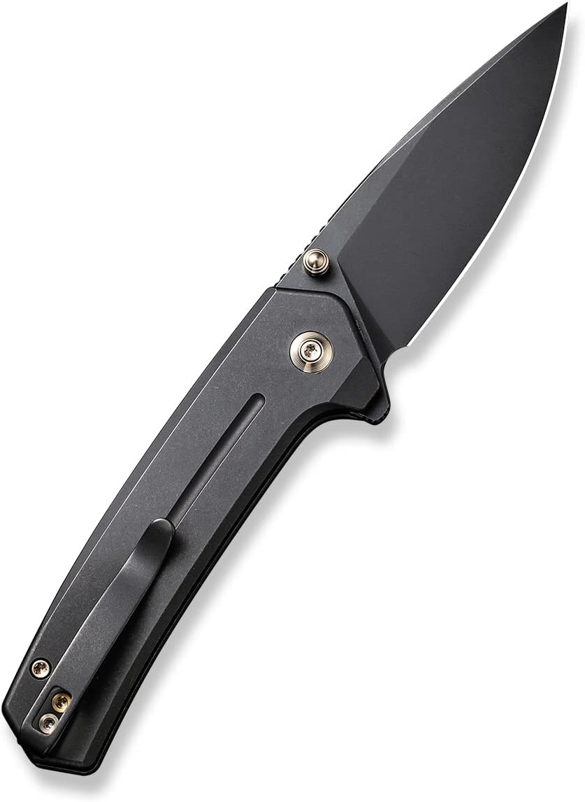 WeKnife Culex Folding Knife for EDC, 2.97-in CPM 20CV Black Stonewashed Blade Black Titanium Handle Button Lock Pocket Knife WE21026B-2