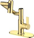 Lefton Rotatable Bathroom Faucet BF2204 with 6' Cover Plate FCP2202, Polished Gold