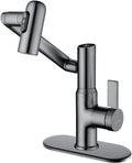 Lefton Rotatable Bathroom Faucet BF2204 with 6' Cover Plate FCP2202, Grey
