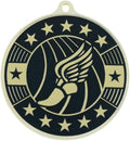 Track and Cross Country Award Medals, Sports Medals Winner Medals Gold Medals - Multiple Options in Quantities 1-50 -Custom Neckbands