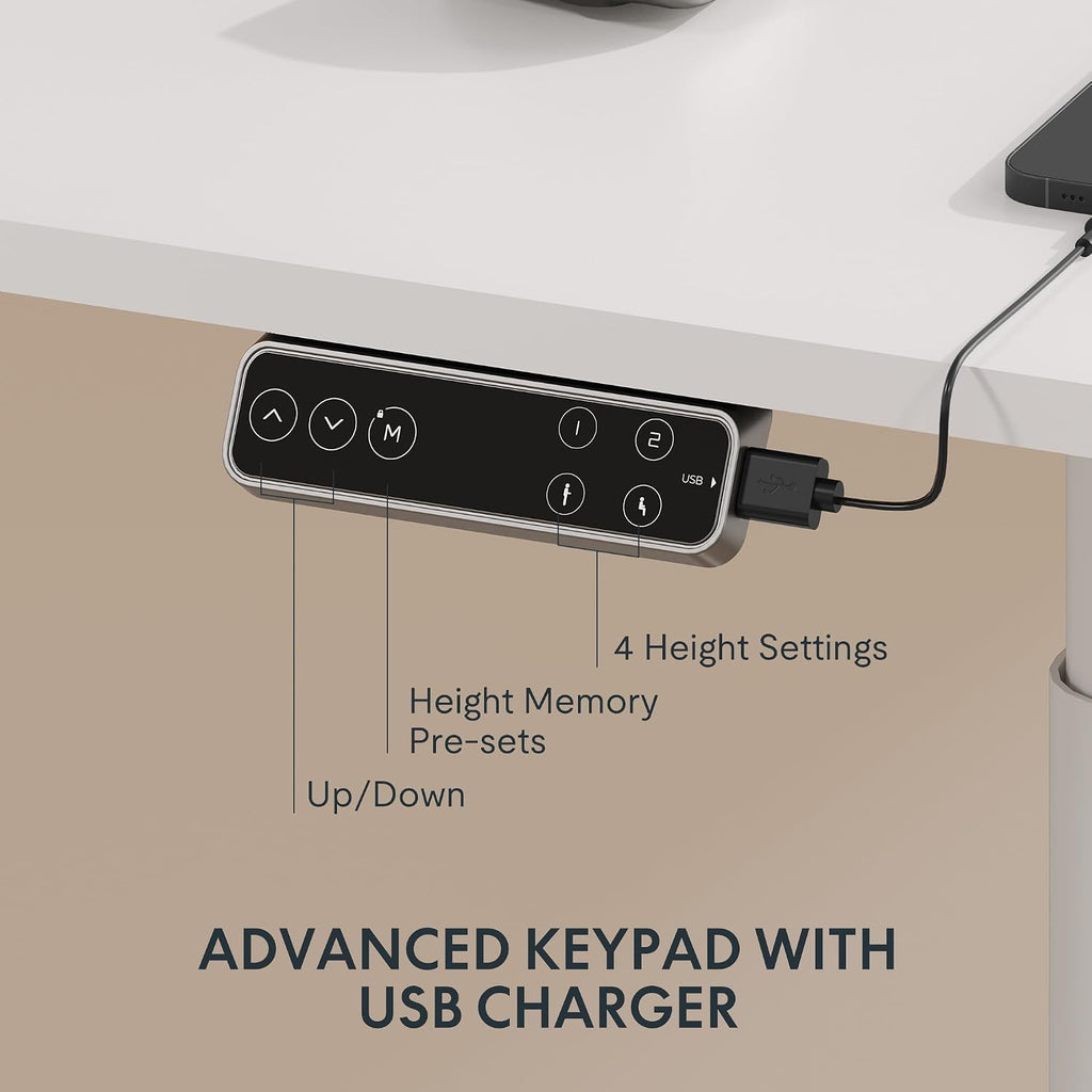 FLEXISPOT E6 Pro 48 x 30 Inch Electric Standing Desk, Dual Motor Height Adjustable Desk with 3-Stage Oval Legs, One-Piece Desktop with Ergonomic Curved Edge, Modern Minimalist Home Office Desk