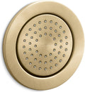 Kohler K-8014-BGD Watertile Round 54-Nozzle Bodyspray, Vibrant Moderne Brushed Gold