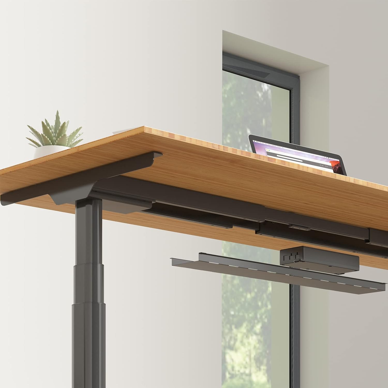 FLEXISPOT E6 Pro 78' x 30' Organic Modern Bamboo Standing Desk, Dual Motor 3-Stage Height Adjustable Desk with Oval Legs, Heavy Duty 330lbs, Bamboo Desktop with Ergonomic Curved Edge, Black Frame