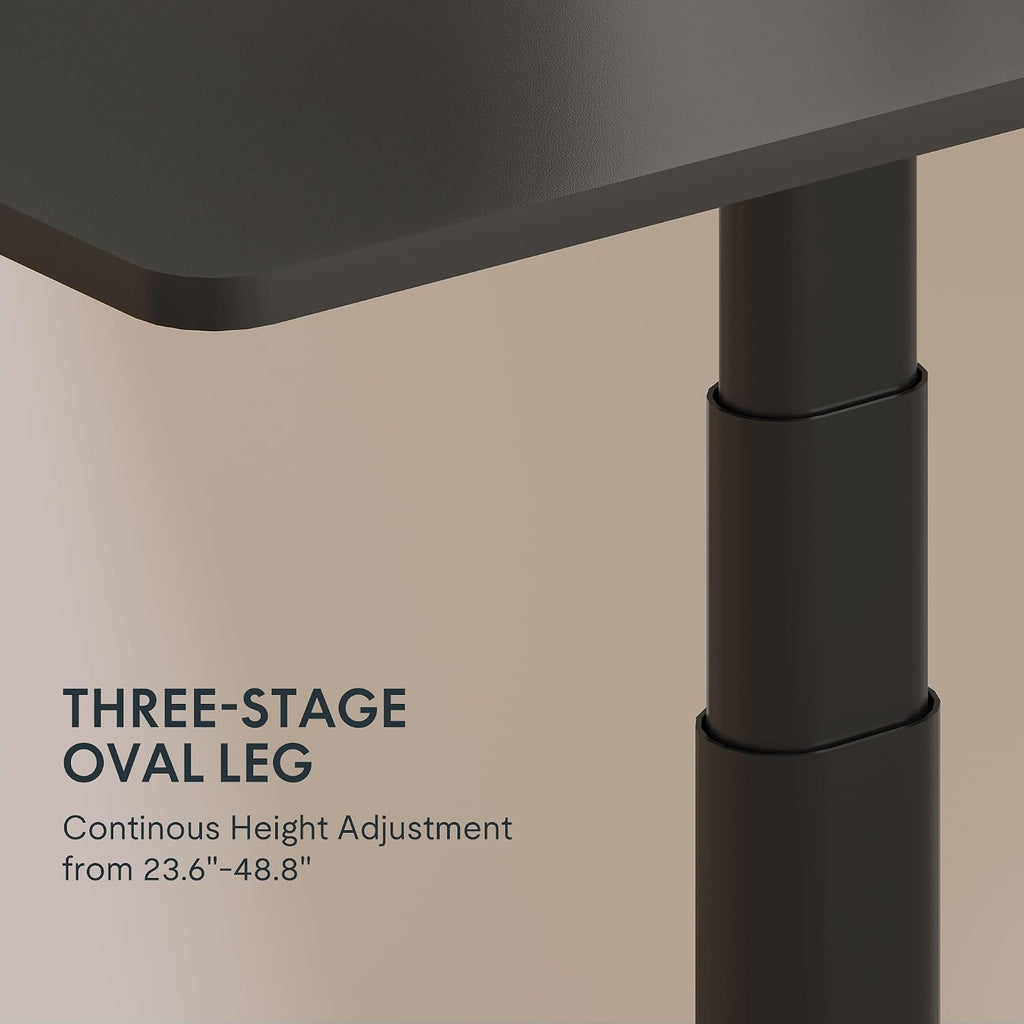 FLEXISPOT E6 Pro Large 60' x 24' Dual Motor Electric Standing Desk, Organic Modern Oval Leg Design, 3-Stage Height Adjustable Sit Stand Desk with Heavy Duty 330lbs, Black Desktop, Black Frame