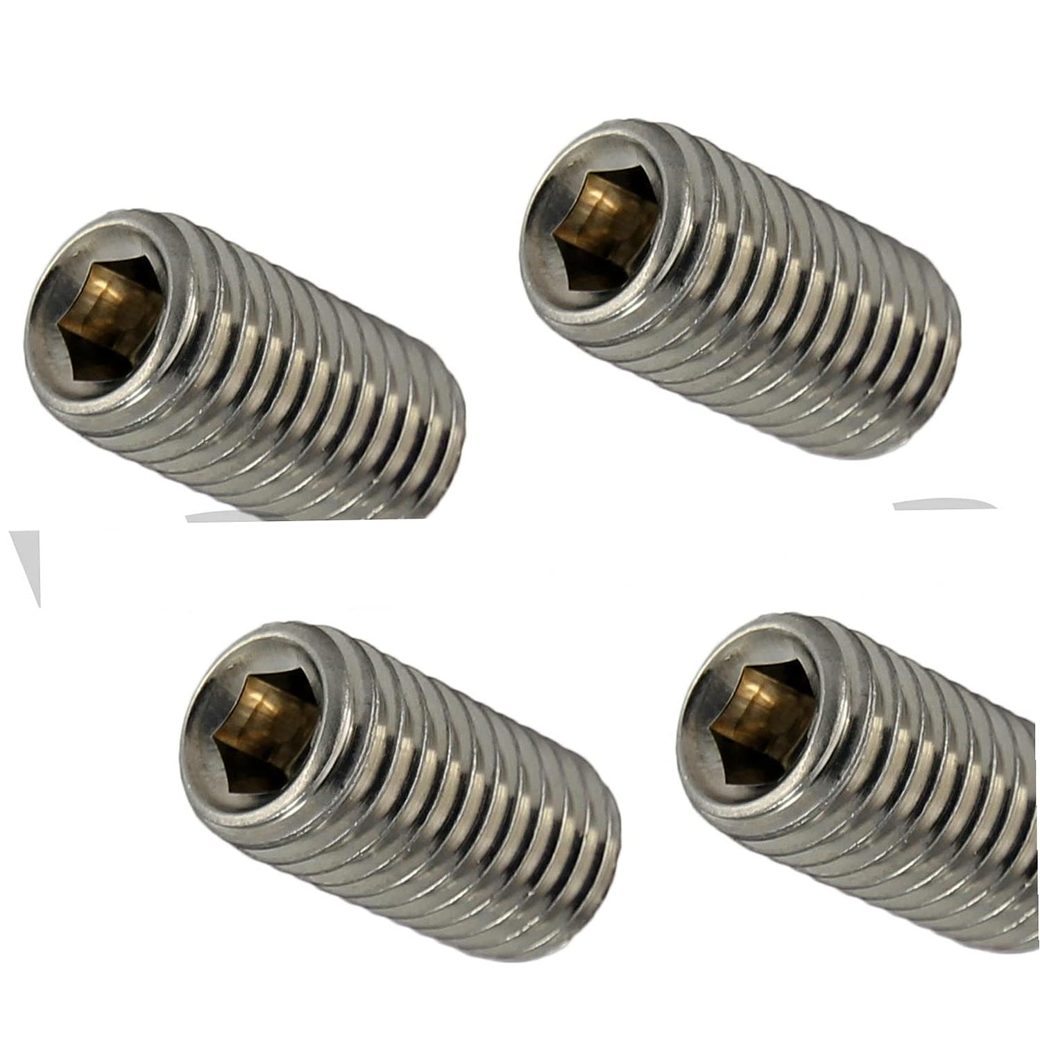 Socket Hardware Screws Kit Hardware Stainless Steel 1/4-20 x 1/4' Pack of 1000 Fastener Set LS15621F