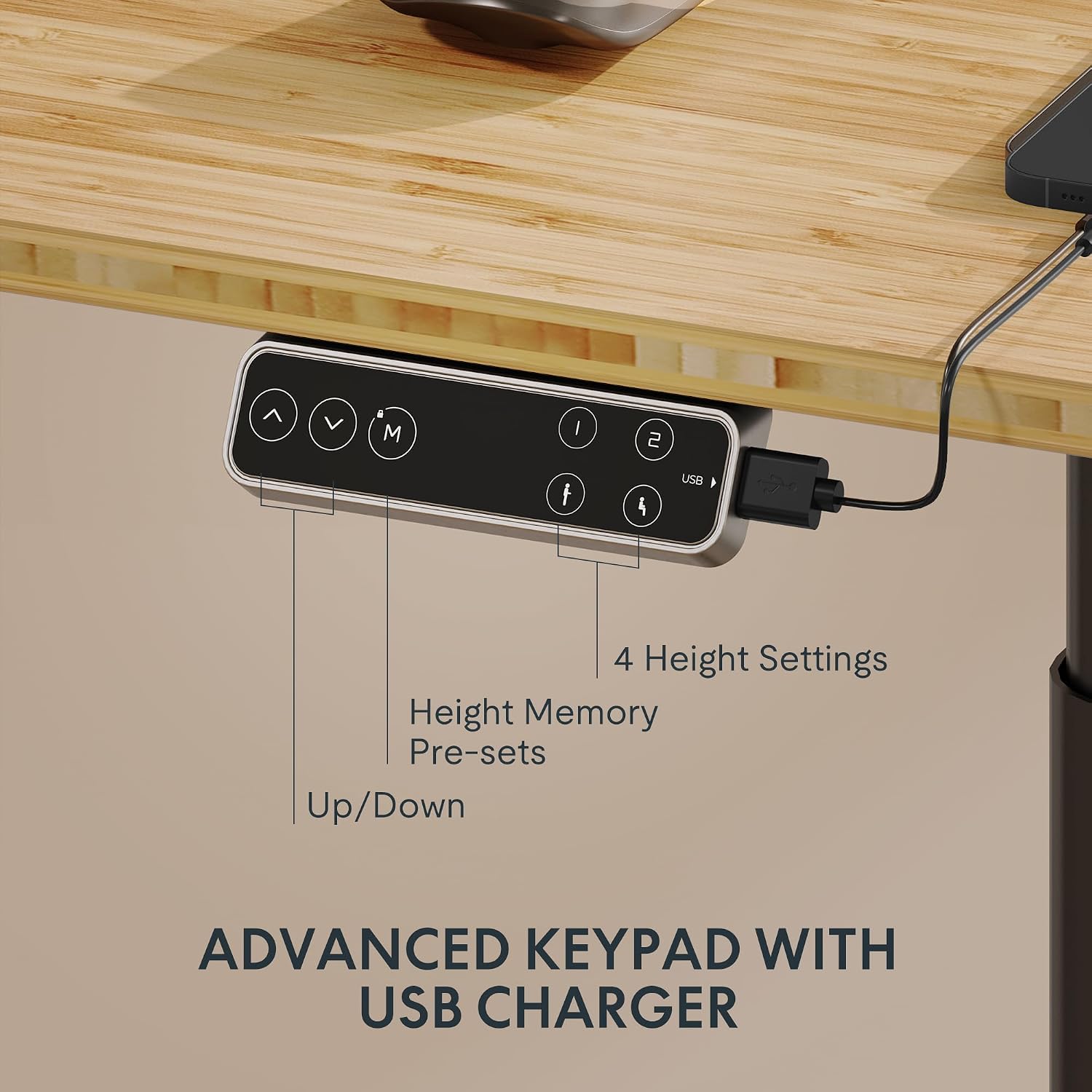 FLEXISPOT E6 Pro Large 60' x 30' Organic Modern Bamboo Standing Desk, Electric Dual Motor 3-Stage Height Adjustable Desk with Oval Legs, Heavy Duty 330lbs, Bamboo Desktop, Black Frame