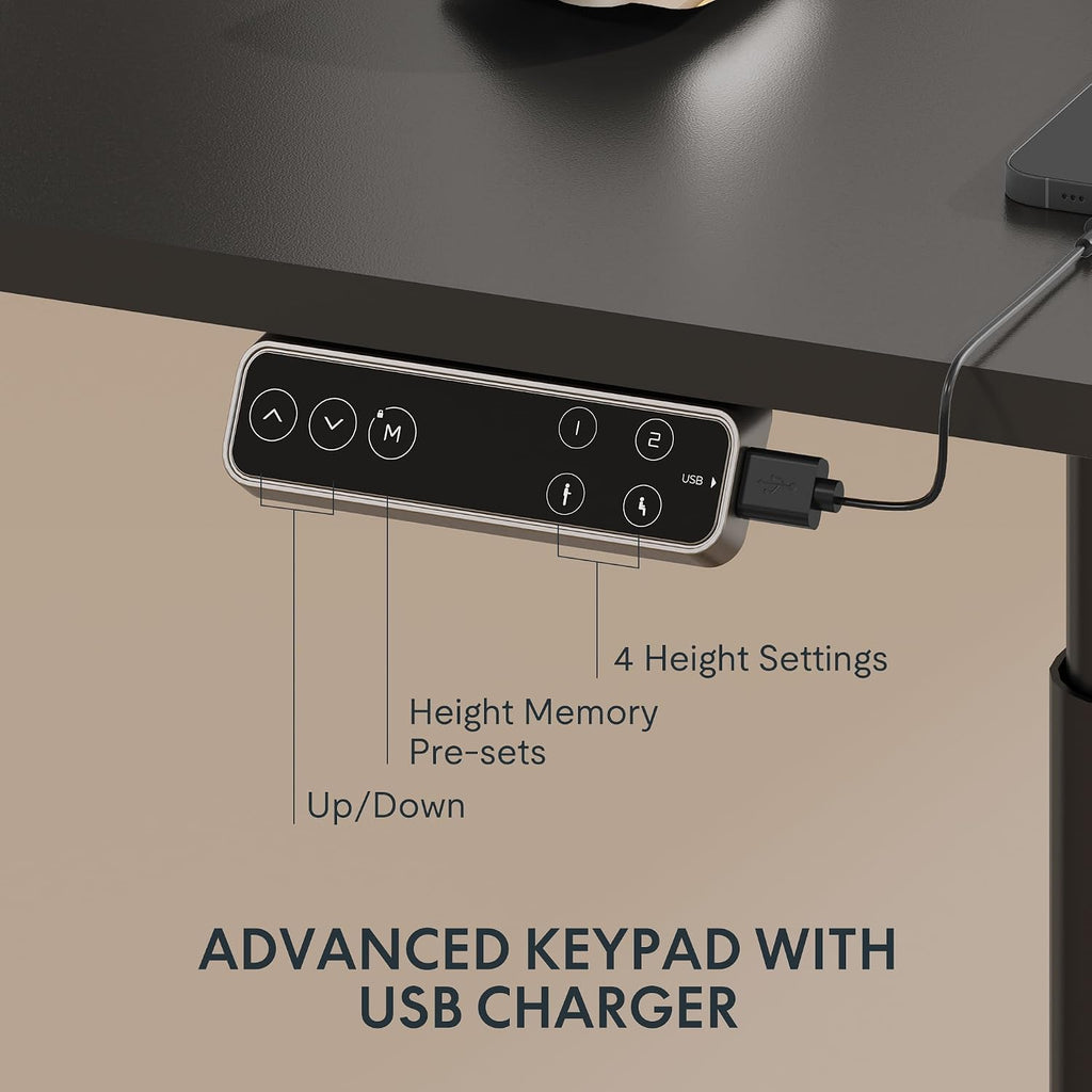 FLEXISPOT E6 Pro Large 60' x 24' Dual Motor Electric Standing Desk, Organic Modern Oval Leg Design, 3-Stage Height Adjustable Sit Stand Desk with Heavy Duty 330lbs, Black Desktop, Black Frame