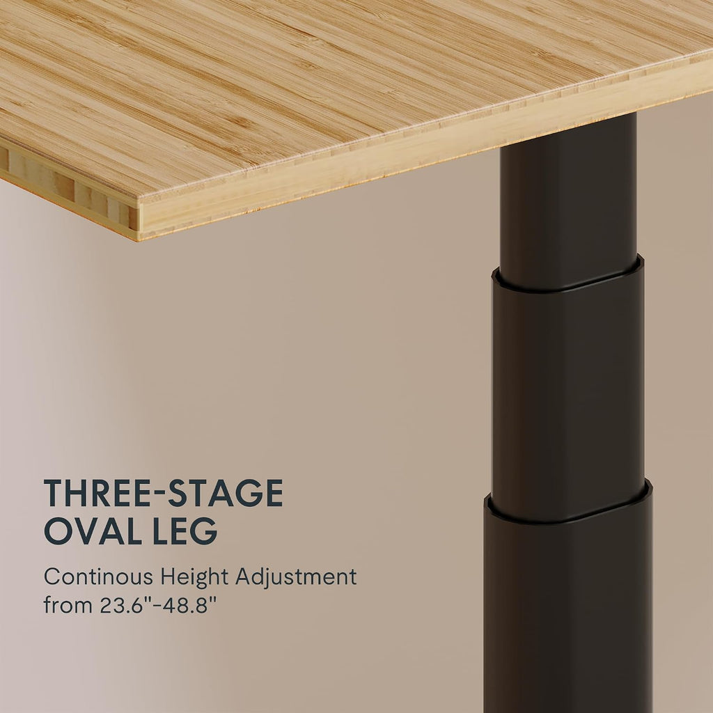 FLEXISPOT E6 Pro Organic Modern Bamboo Standing Desk, Electric Dual Motor 3-Stage Height Adjustable Desk with Oval Legs, Heavy Duty 330lbs, 48' x 24' Bamboo Desktop, Black Frame
