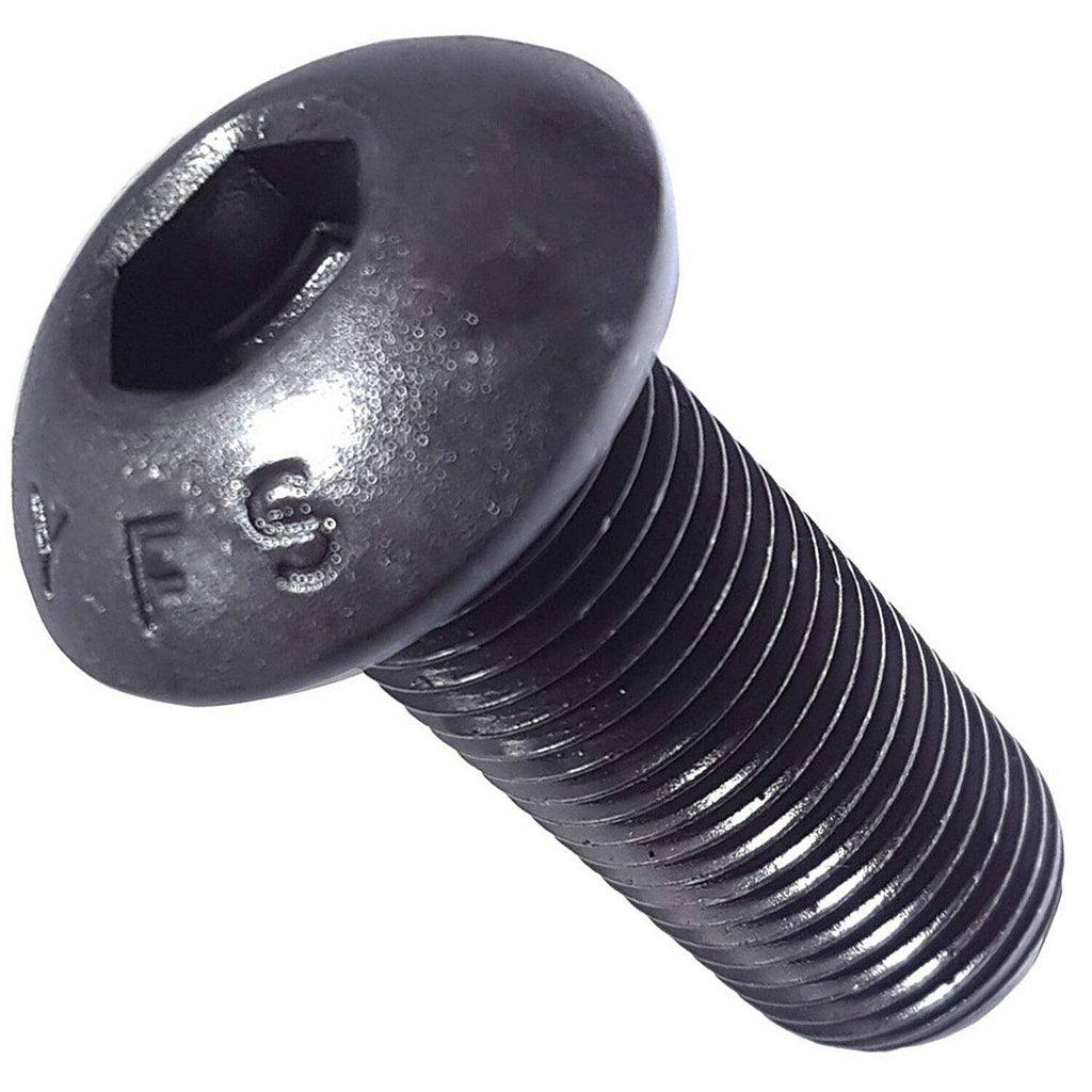 1/4-20 x 1/4' - Button Head Socket Cap Screws Black Oxide Alloy Steel Qty 250 Socket Head Screws B2B